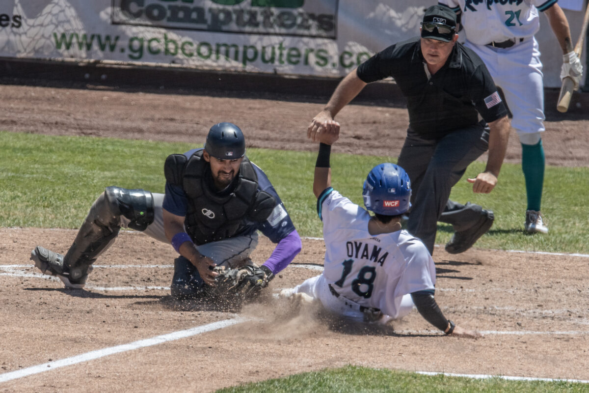 Sargent’s late sock spoiled as Ogden Raptors split series with Boise ...